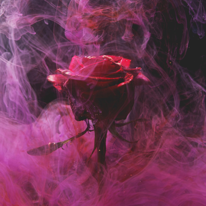 Fondant Parfumé : Rose