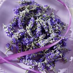 Fondant Parfumé : Lavande