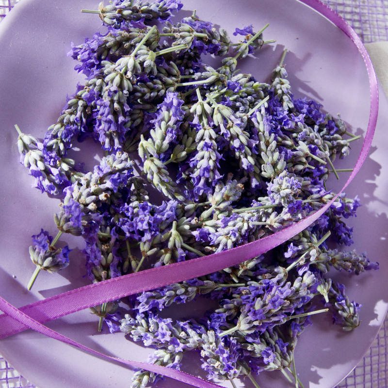 Fondant Parfumé : Lavande