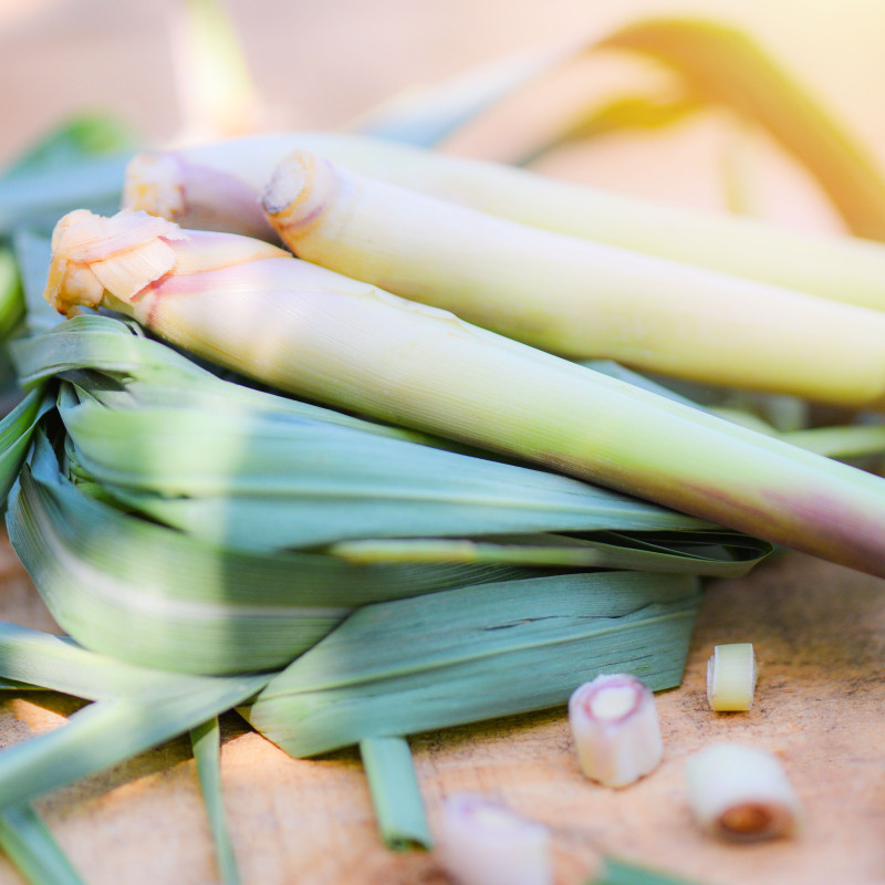 Fondant parfumé : Citronnelle