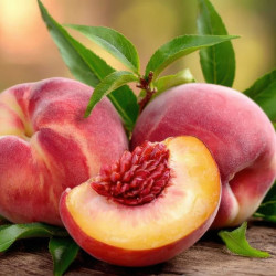 Fondant parfumé : Pêche de Vigne
