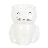 Brûleur Chat