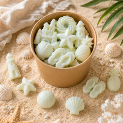 Boîte de fondants Thème été ( 100g )