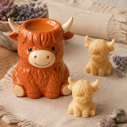 Fondant parfumé Vache Highland