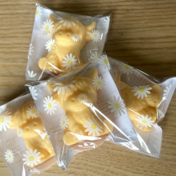Fondant parfumé Vache Highland