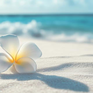 Fondant Parfumé : Monoï