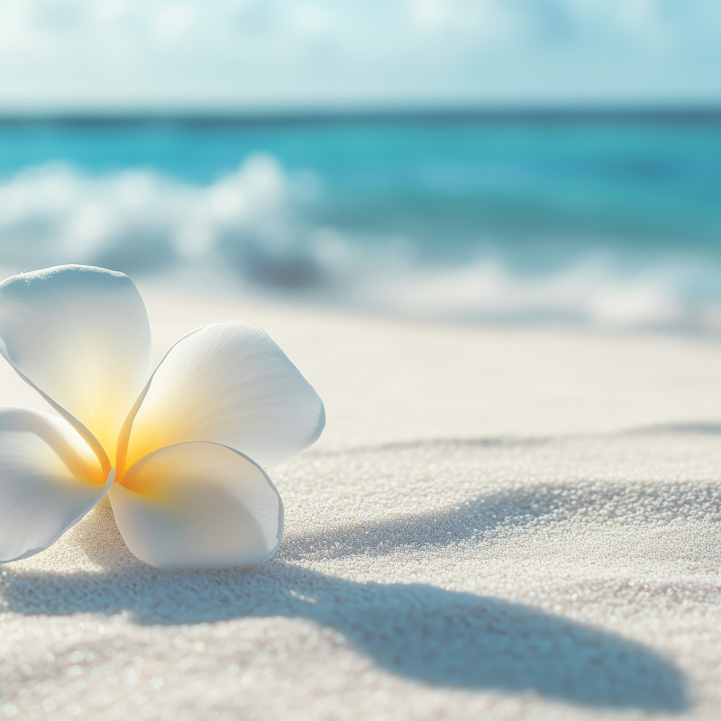 Fondant Parfumé : Monoï des îles