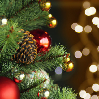 Fondant Parfumé : Sapin de Noël